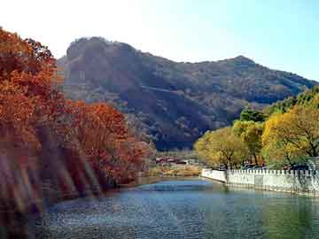 正新澳门二四六天天彩，河北省图书馆首页